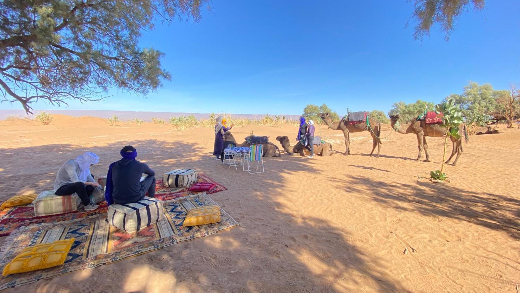 Atta Desert Camp El Gouera ภายนอก รูปภาพ