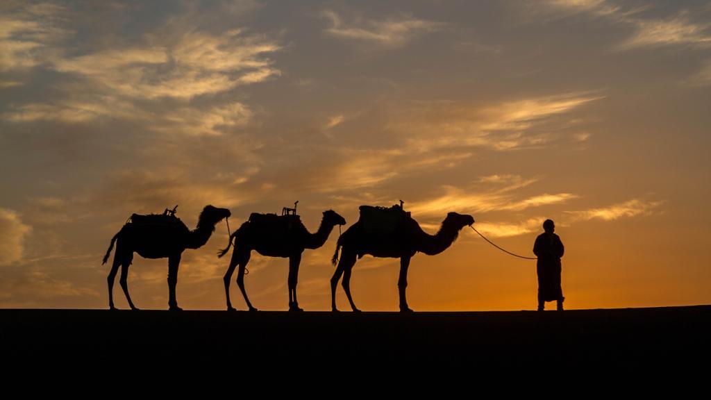 Atta Desert Camp El Gouera ภายนอก รูปภาพ